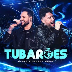 Diego  e Victor  Hugo